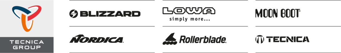 Logo Tecnicagroup und Partner